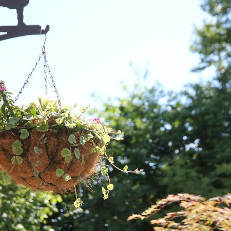 Holiday Sunny Corner * Heiloo